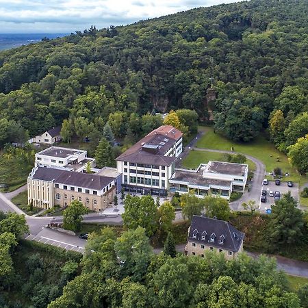 Kloster Neustadt Neustadt an der Weinstraße Exterior foto